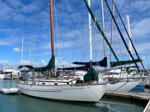 Tayana 37