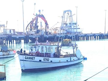 Carey Ex-Fishing Vessel GANNET