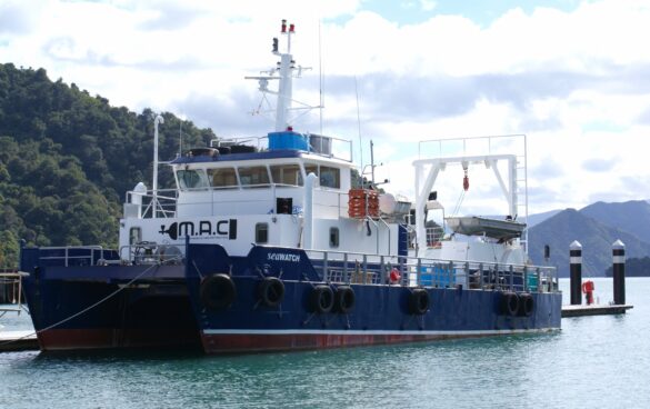 super yachts nz for sale