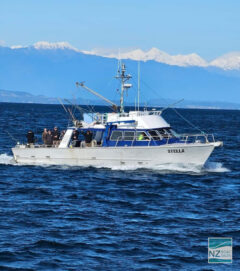 FV STELLA: Alloy Commercial Fishing Vessel