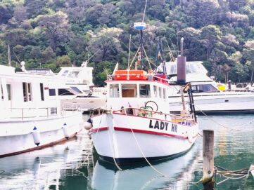 Lady HR- tidy, simple 31ft kauri fishing boat