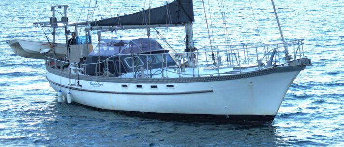 Swanhaven (3) Swanhaven (3)