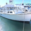 Kanona — 1962 40 ft ex-Pelorus Mailboat
