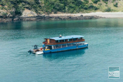 The Rock — Adventure Cruise Barge and Established Business