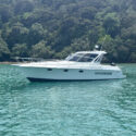 Maxcruise — Genesis 320 – Fast, Fresh and Ready